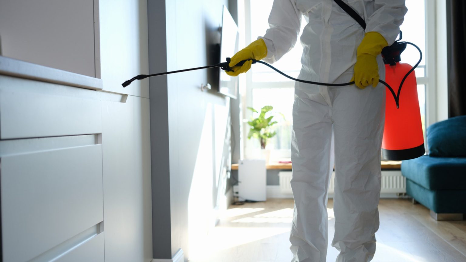 Entreprise de désinsectisation à Valence : votre solution contre les insectes nuisibles