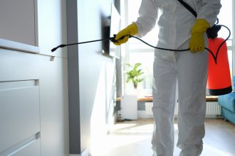 Entreprise de désinsectisation à Valence : votre solution contre les insectes nuisibles